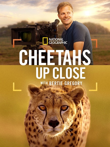 مشاهدة فيلم Cheetahs Up Close with Bertie Gregory 2026 مترجم