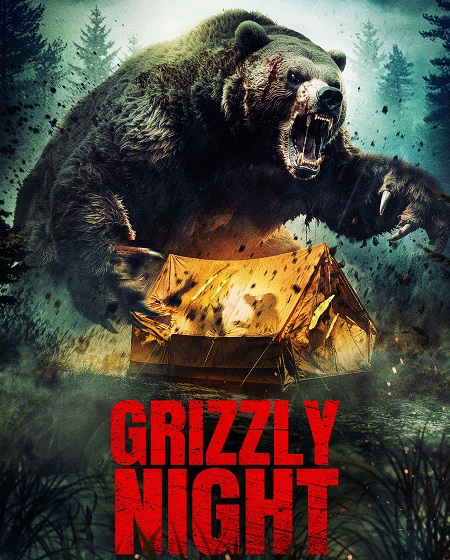مشاهدة فيلم Grizzly Night 2026 مترجم